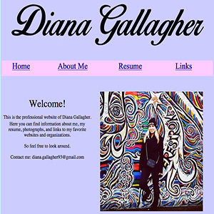 Diane Gallagher Web Resume
